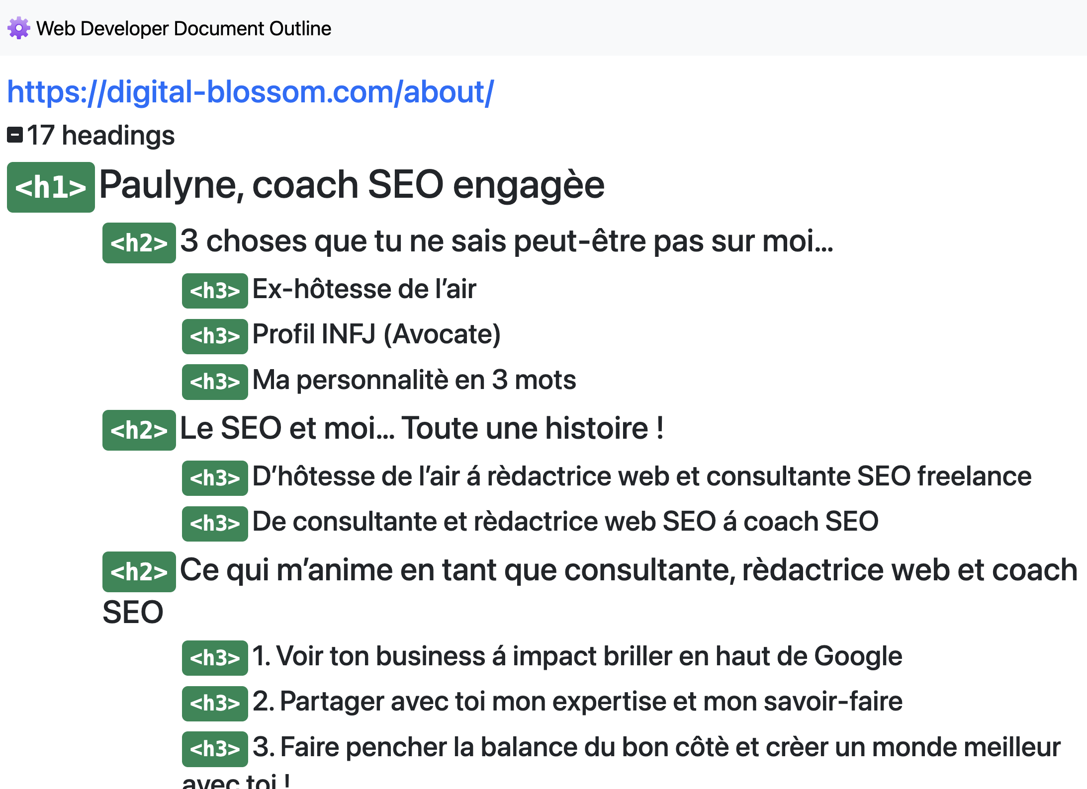 extension-chrome-web-developer-exemple-outil-seo-gratuit