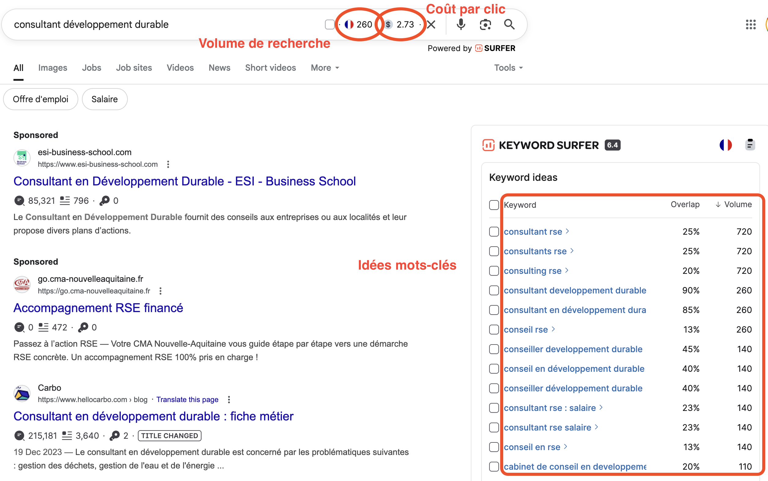 keyword-surfer-extension-outils-seo-gratuit